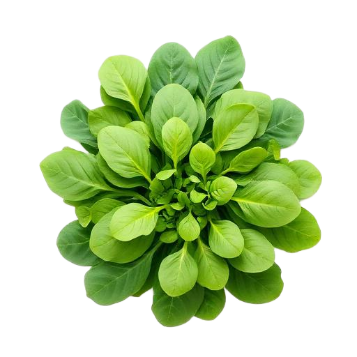 Baby spinach & kale